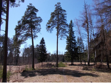 DSCN5198.JPG
