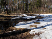 DSCN5208.JPG
