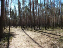 DSCN5209.JPG