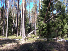DSCN5212.JPG