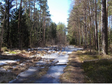 DSCN5214.JPG