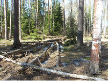 DSCN5215.JPG