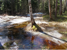 DSCN5216.JPG