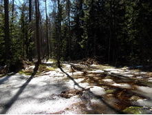 DSCN5219.JPG