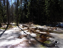 DSCN5220.JPG
