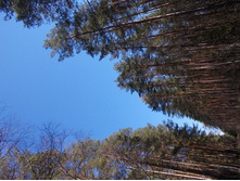 DSCN5222.JPG