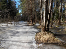DSCN5224.JPG