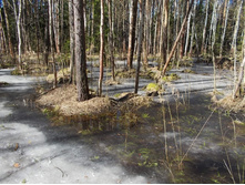 DSCN5225.JPG
