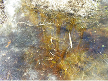 DSCN5227.JPG