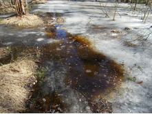 DSCN5229.JPG