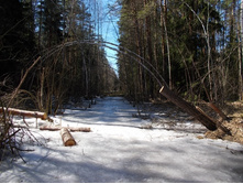 DSCN5230.JPG