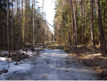 DSCN5237.JPG
