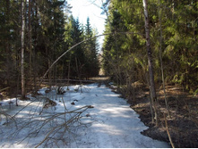 DSCN5241.JPG