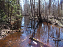 DSCN5246.JPG