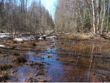 DSCN5250.JPG