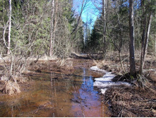 DSCN5253.JPG