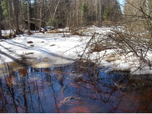 DSCN5254.JPG