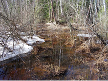 DSCN5255.JPG