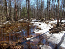 DSCN5256.JPG