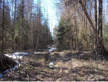 DSCN5259.JPG