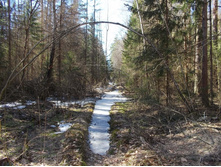 DSCN5260.JPG