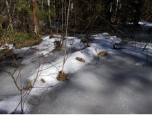 DSCN5265.JPG