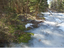 DSCN5267.JPG