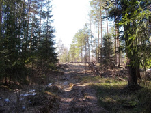 DSCN5268.JPG
