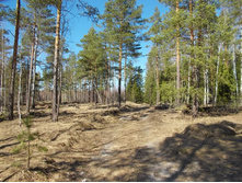 DSCN5272.JPG