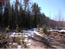 DSCN5278.JPG