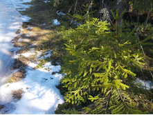 DSCN5280.JPG