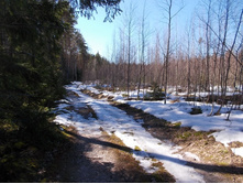 DSCN5282.JPG