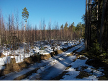 DSCN5283.JPG
