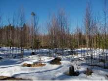 DSCN5284.JPG