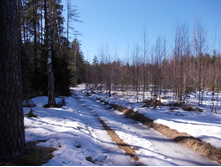 DSCN5285.JPG