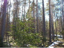 DSCN5286.JPG