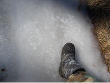 DSCN5288.JPG