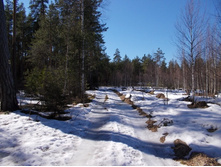 DSCN5290.JPG