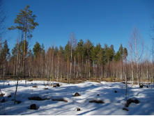 DSCN5292.JPG
