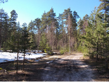DSCN5298.JPG