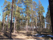 DSCN5299.JPG