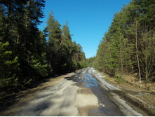 DSCN5311.JPG