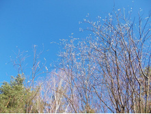 DSCN5316.JPG