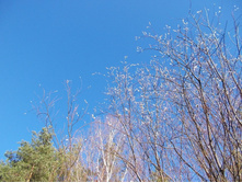 DSCN5318.JPG
