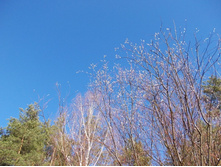 DSCN5321.JPG