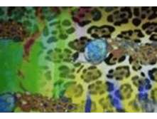 image010.png