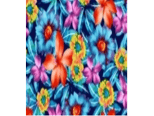 image018.png