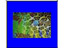 image021.png