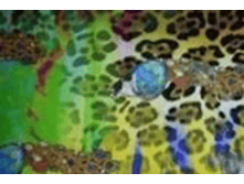 image030.png