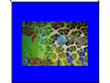 image033.png